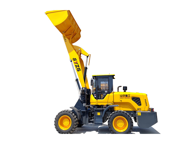 xuc-lat-do-cao-gau-2-khoi-t946g